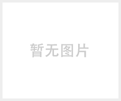 托马斯TORMAX2401系列自动平滑门